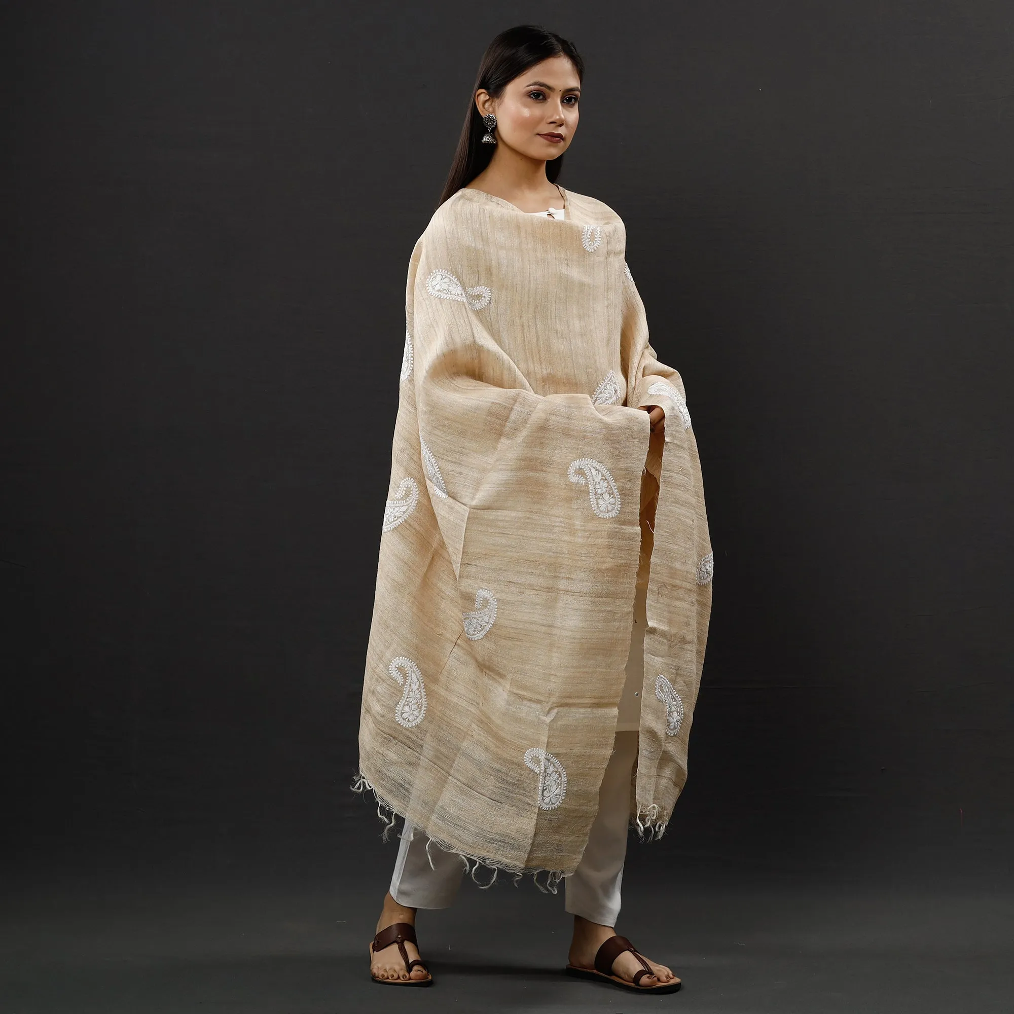 Brown - Lucknow Chikankari Heavy Hand Embroidery Ghicha Silk Dupatta